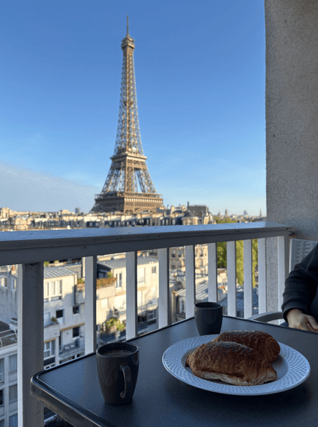 Жилье с видом на Эйфелеву башню апартаменты в Париже